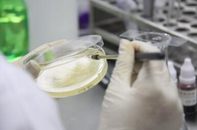 實(shí)驗(yàn)室建設(shè)并不難，選對方法很簡單