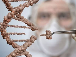 中科院博士：基因敲除技術(shù)不復(fù)雜 分子生物學(xué)實驗室都可做