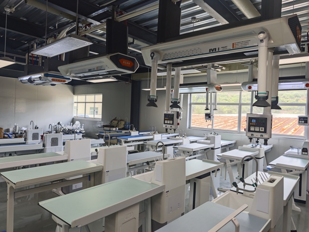 專業(yè)定制，品質(zhì)保證：量身打造最適合您的理化生智能吊裝實驗室