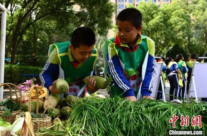資料圖：2020年9月25日，蘭州市紅山根小學(xué)“心根農(nóng)莊”里上演了一場特別的豐收節(jié)會。　崔琳　攝